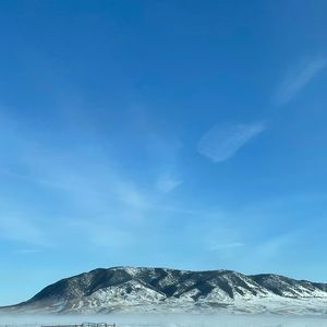 Meet your Posher, Kylie